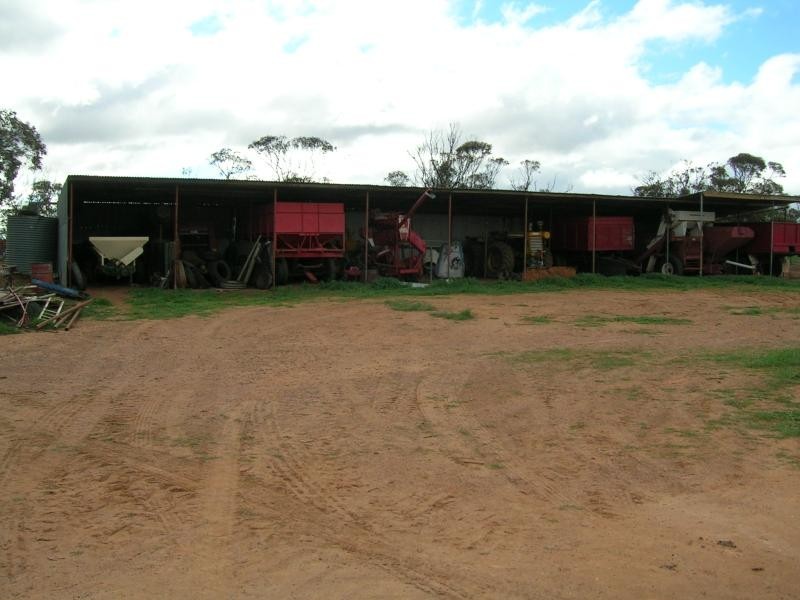Borrika SA 5309