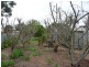 85 Princes Highway, Tailem Bend SA 5260