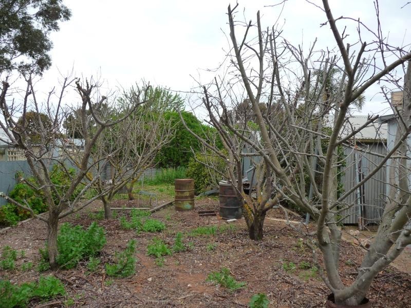85 Princes Highway, Tailem Bend SA 5260