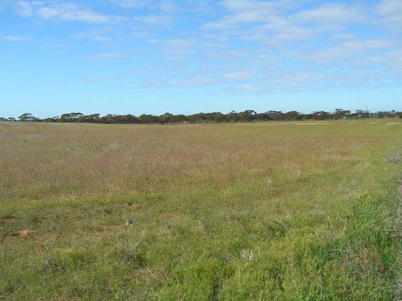 Mindarie SA 5309
