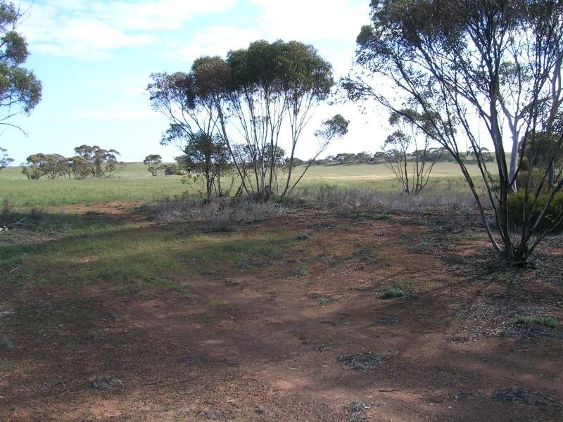 Mindarie SA 5309