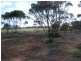 Mindarie SA 5309