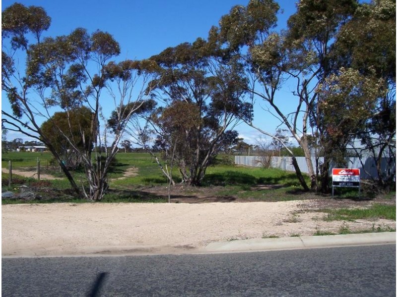 22 Joffre Avenue, Pinnaroo SA 5304