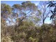 Tailem Bend SA 5260