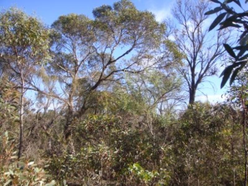 Tailem Bend SA 5260
