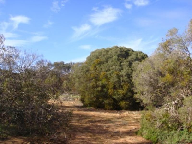 Tailem Bend SA 5260