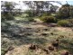 Tailem Bend SA 5260