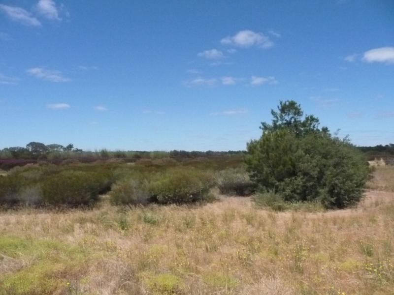 Lot 25/ Placid Estate Road, Wellington East SA 5259