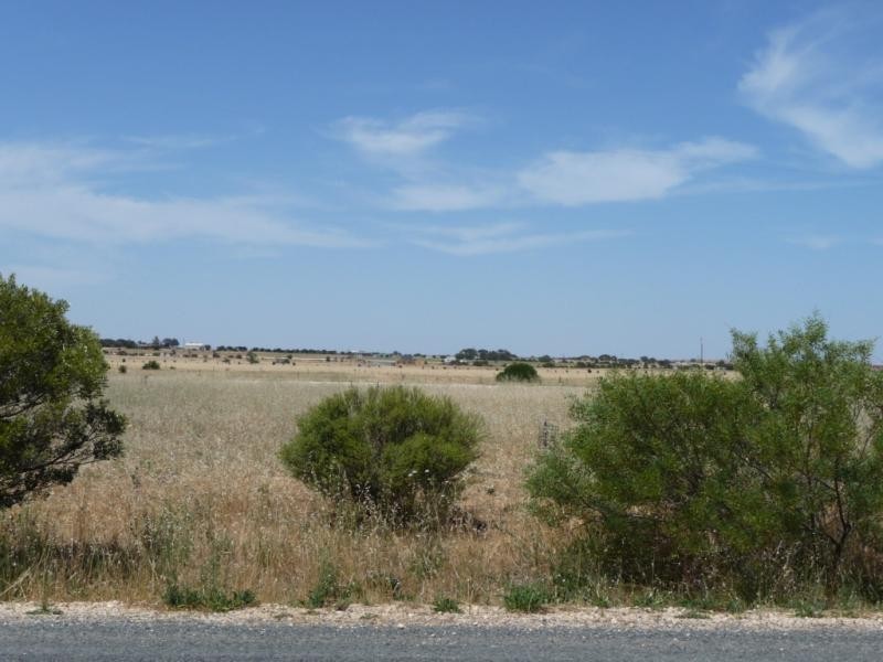 52 Magpie Drive, Tailem Bend SA 5260