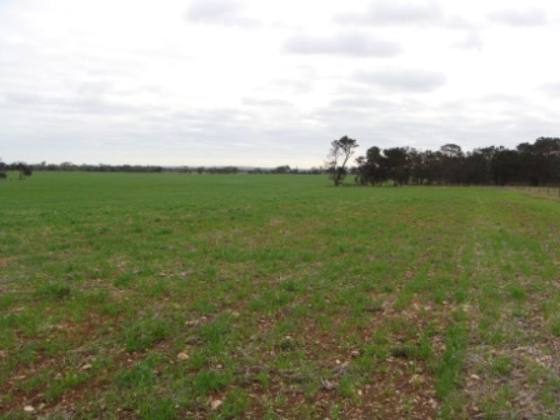 Section 430/ HD Seymour, Tailem Bend SA 5260