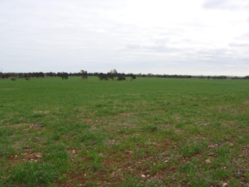 Section 430/ HD Seymour, Tailem Bend SA 5260