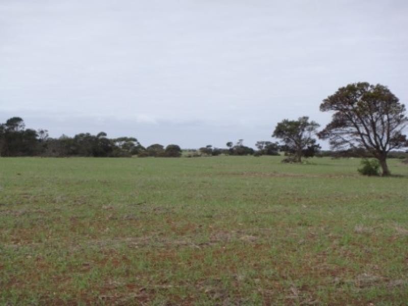 Section 430/ HD Seymour, Tailem Bend SA 5260