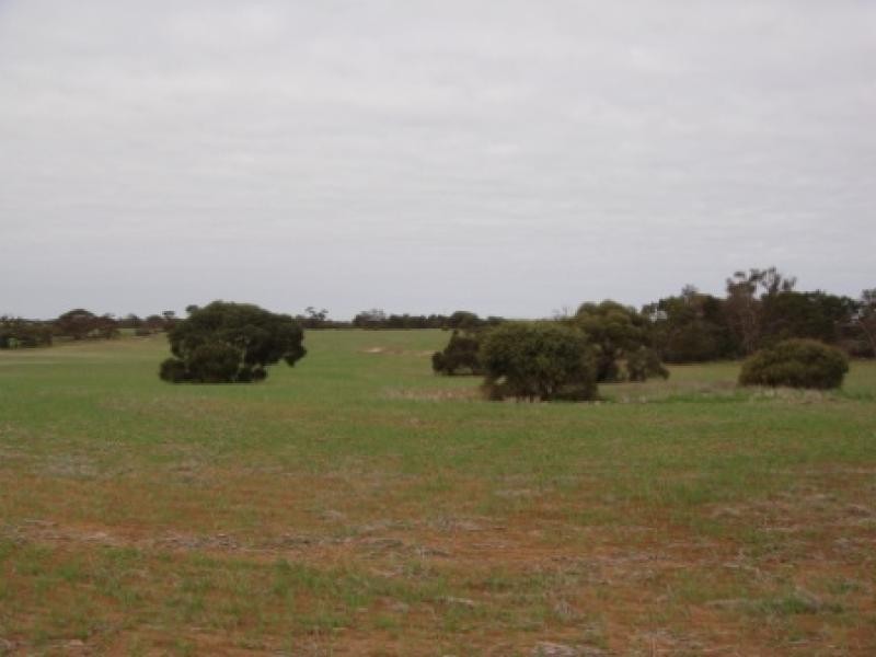Section 430/ HD Seymour, Tailem Bend SA 5260