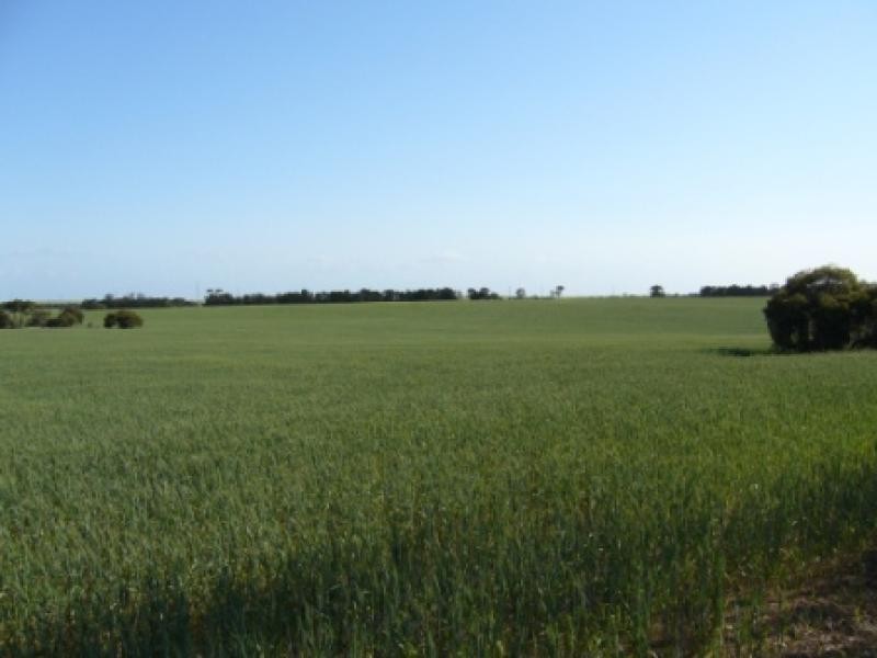 Section 430/ HD Seymour, Tailem Bend SA 5260