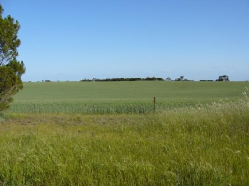 Section 430/ HD Seymour, Tailem Bend SA 5260