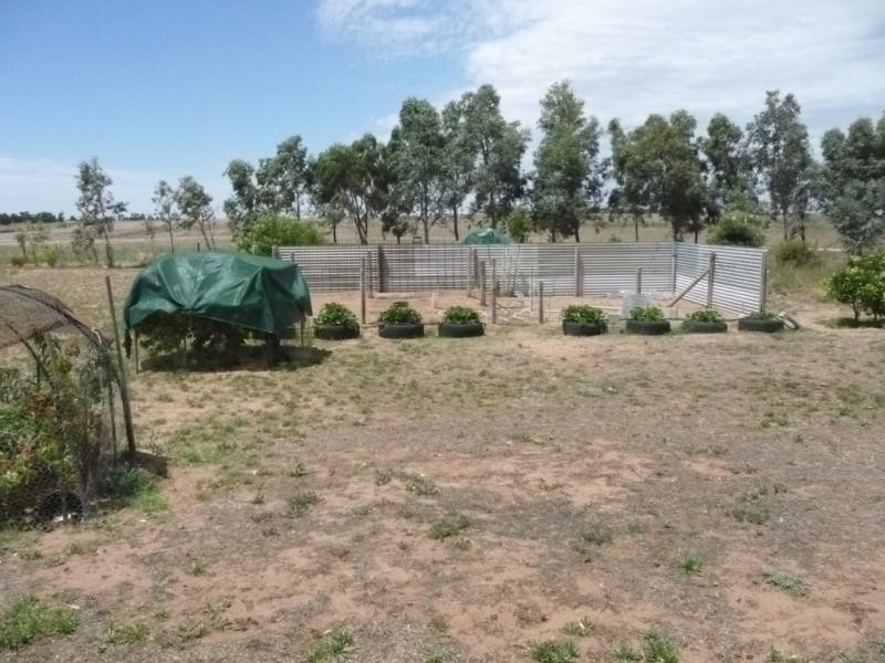 8 Placid Estate, Tailem Bend SA 5260