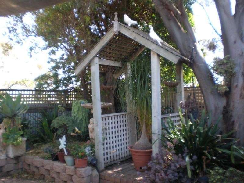 19 Tiller Street, Tailem Bend SA 5260