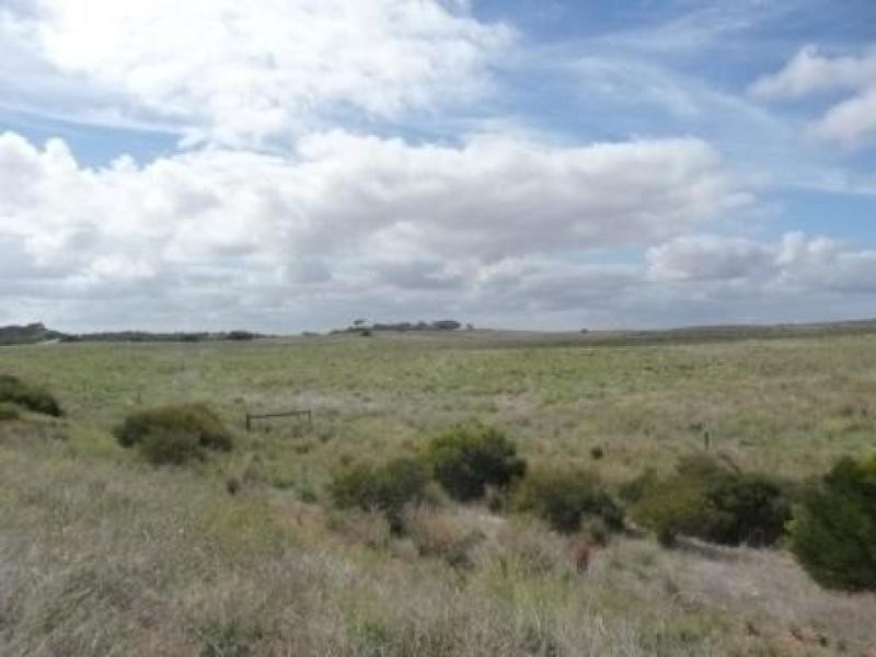 Wellington East SA 5259