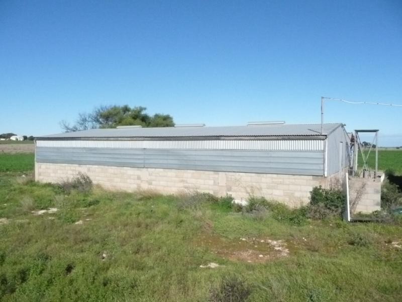 Lot 91/ Blackett Road, Tailem Bend SA 5260