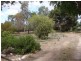 Lot 100/ & 101 Corner Foremen and Park Tce, Pinnaroo SA 5304