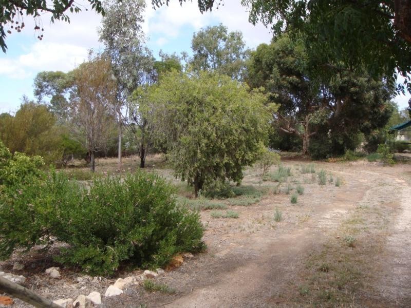Lot 100/ & 101 Corner Foremen and Park Tce, Pinnaroo SA 5304
