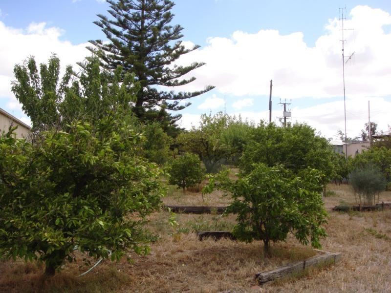 Lot 100/ & 101 Corner Foremen and Park Tce, Pinnaroo SA 5304