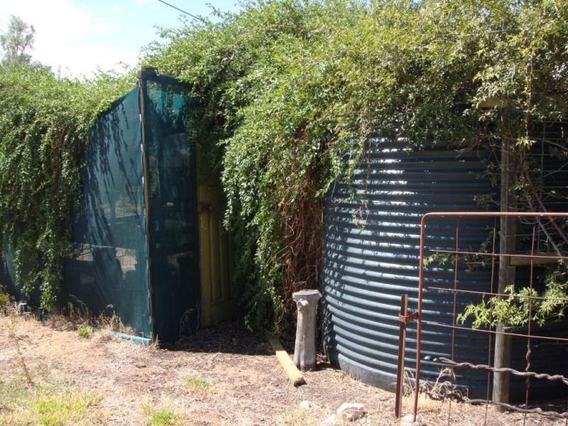 Lot 100/ & 101 Corner Foremen and Park Tce, Pinnaroo SA 5304