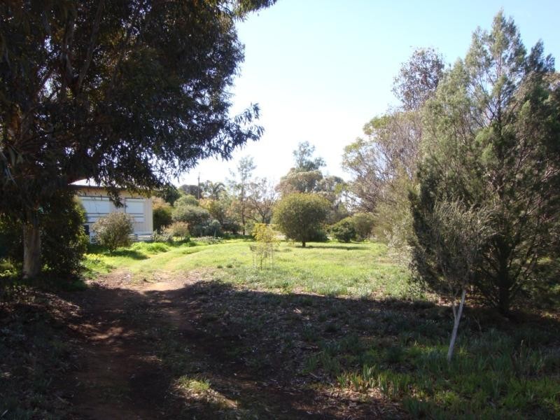 Lot 100/ & 101 Corner Foremen and Park Tce, Pinnaroo SA 5304