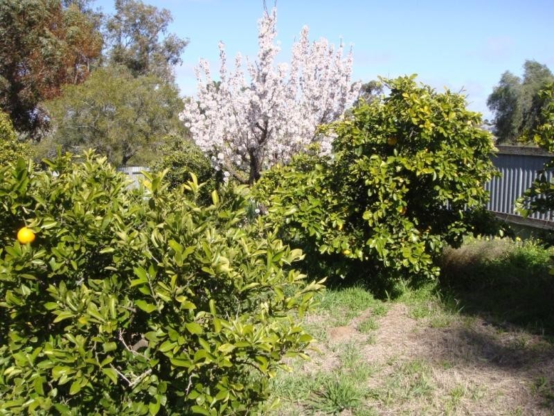 Lot 100/ & 101 Corner Foremen and Park Tce, Pinnaroo SA 5304