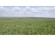 Cooke Plains SA 5261