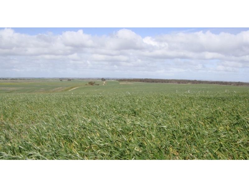 Cooke Plains SA 5261
