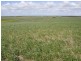 Cooke Plains SA 5261