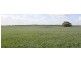 Cooke Plains SA 5261