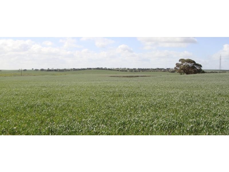 Cooke Plains SA 5261