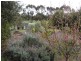 7 Needs Road, Lameroo SA 5302
