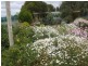 7 Needs Road, Lameroo SA 5302