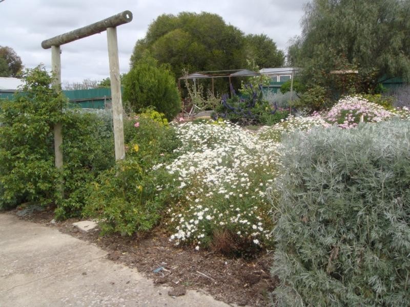 7 Needs Road, Lameroo SA 5302