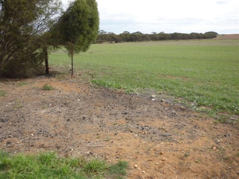 Karoonda SA 5307
