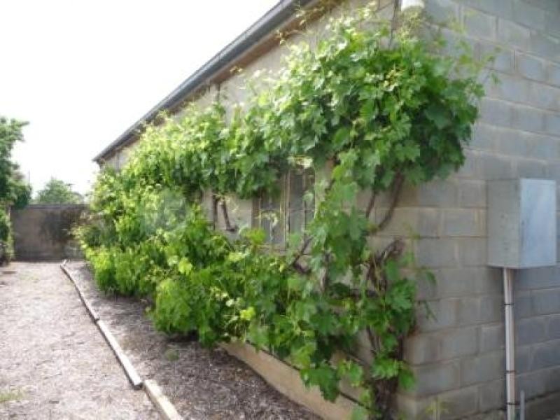 Lot 113/ Princes Highway, Tailem Bend SA 5260