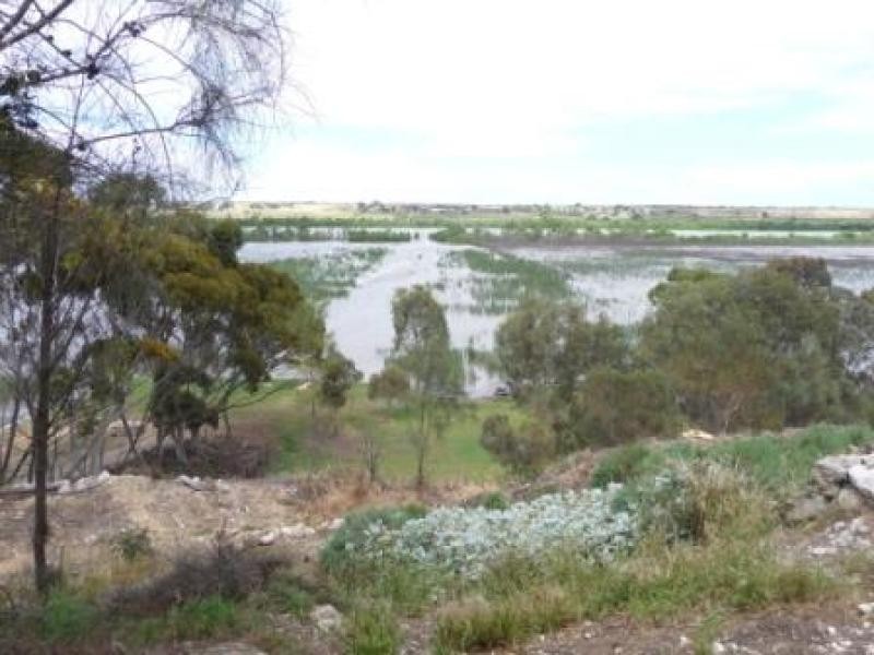 Lot 113/ Princes Highway, Tailem Bend SA 5260