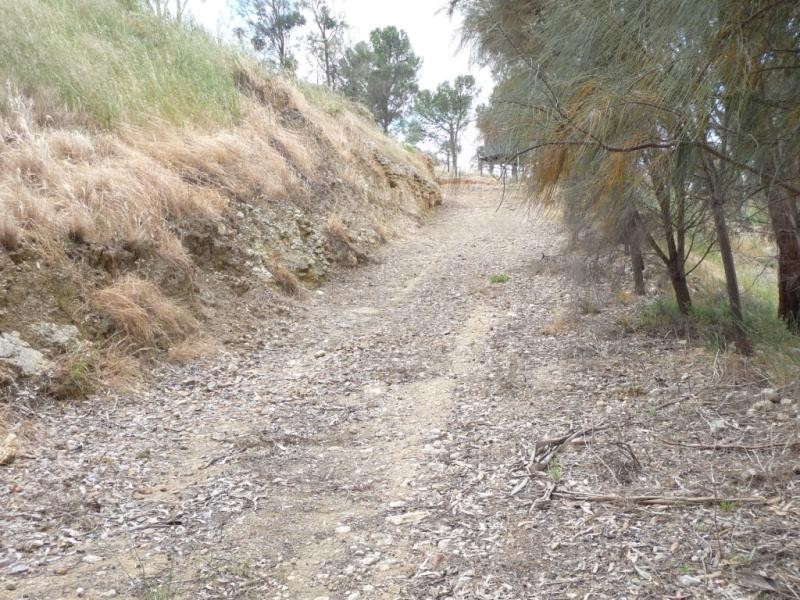 Lot 113/ Princes Highway, Tailem Bend SA 5260