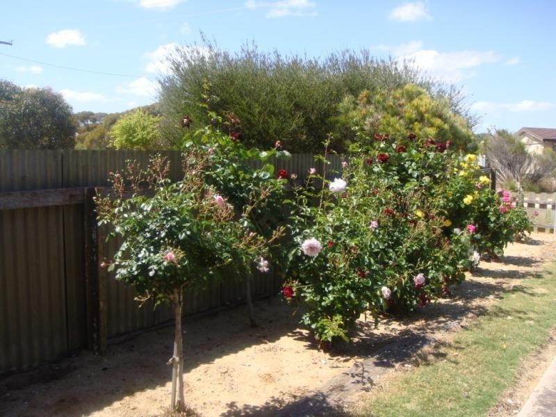 Lot 30/ John Street, Ki Ki SA 5261