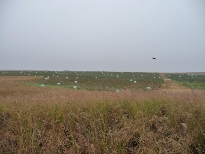 Wellington East SA 5259