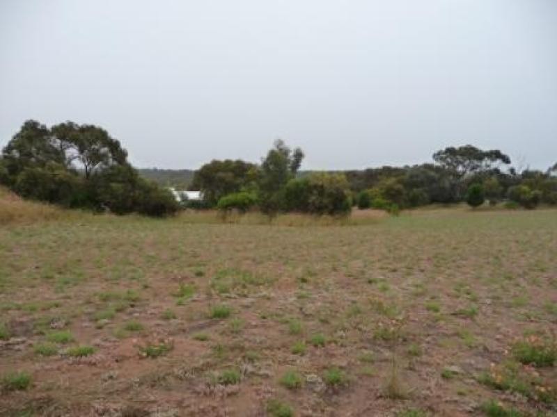 Wellington East SA 5259