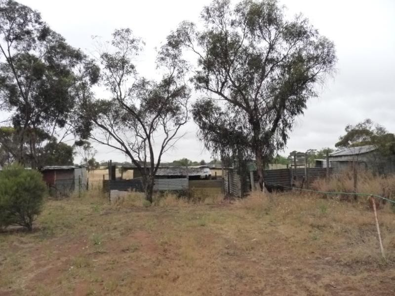 Lot 3/ Limekiln Road, Tailem Bend SA 5260