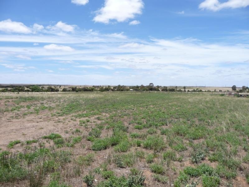 Lot 52/ Golf Course Road, Tailem Bend SA 5260