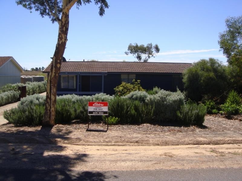 21 Symonds Street, Pinnaroo SA 5304