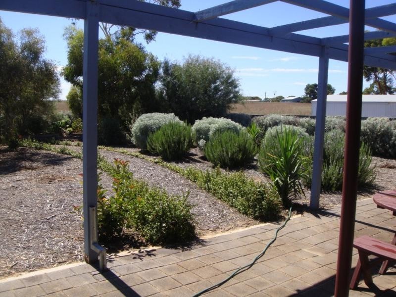 21 Symonds Street, Pinnaroo SA 5304