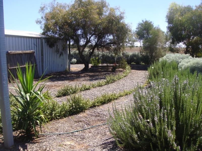 21 Symonds Street, Pinnaroo SA 5304