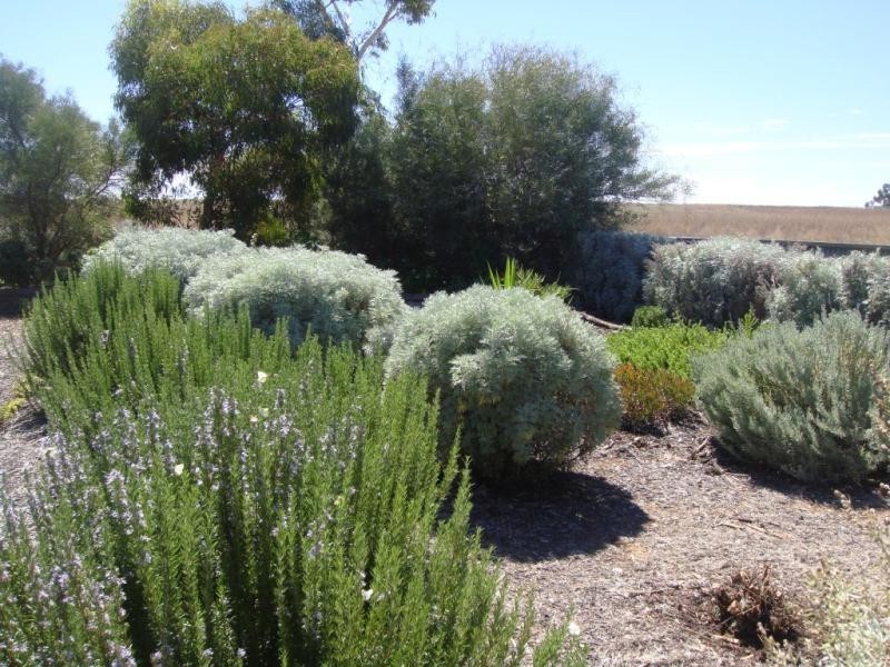 21 Symonds Street, Pinnaroo SA 5304